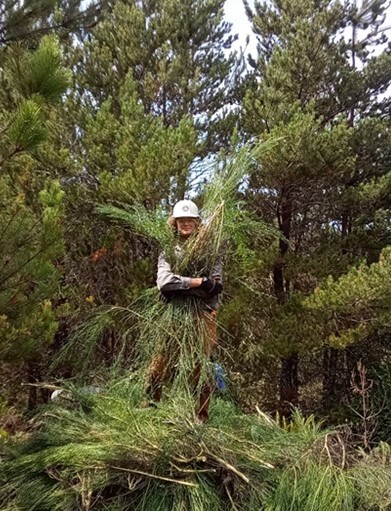 YCC holding the remains of a tree.