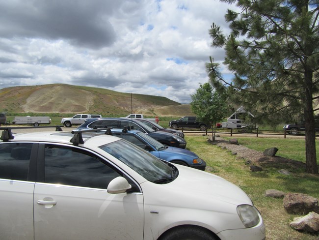 Cars parked side-by-side near a grassy area.