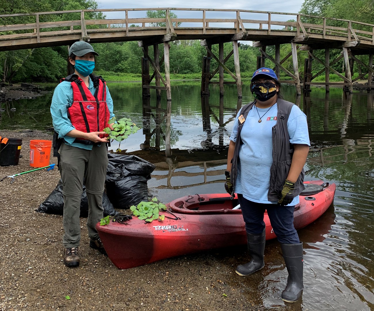 Two young women with cloth face masks stand apart from each other while next to a red kayak on the bank of the Concord River. A bridge is behind them. One of them is holding a bunch of invasive water chestnut plants.