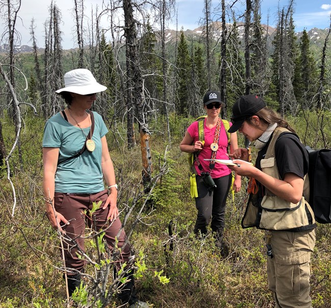 Three people stand outdoors in a forested area.