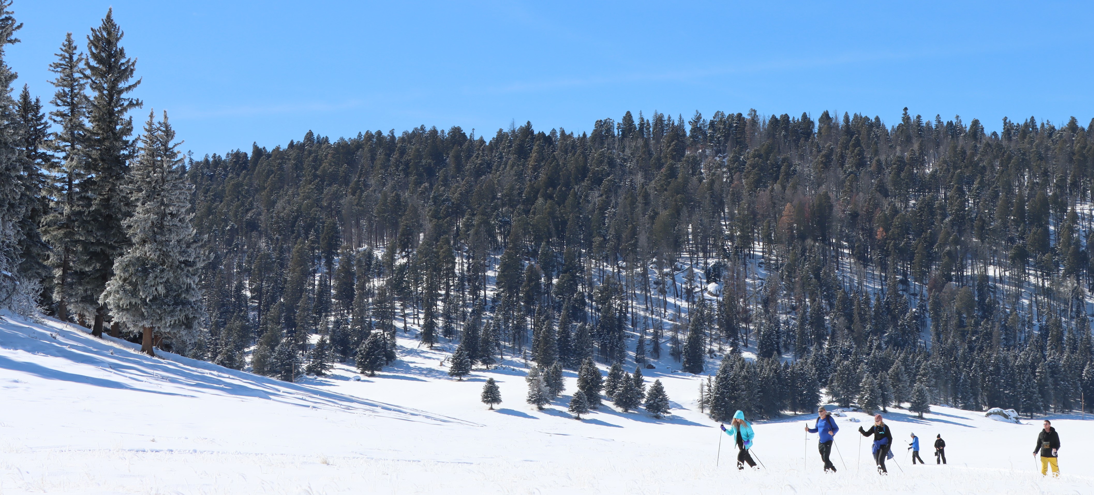 Several trail users passing each other on a snowy trail at the base of a forested lava dome.