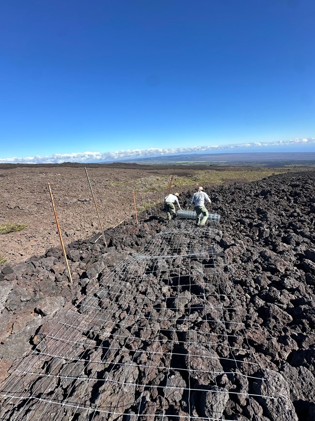 Two workers roll out metal fencing along rocky terrain in preparation for install.
