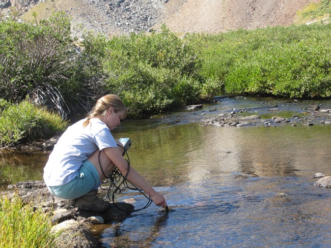 Field scientist holds a probe into a lake outlet to take water chemistry measurements.