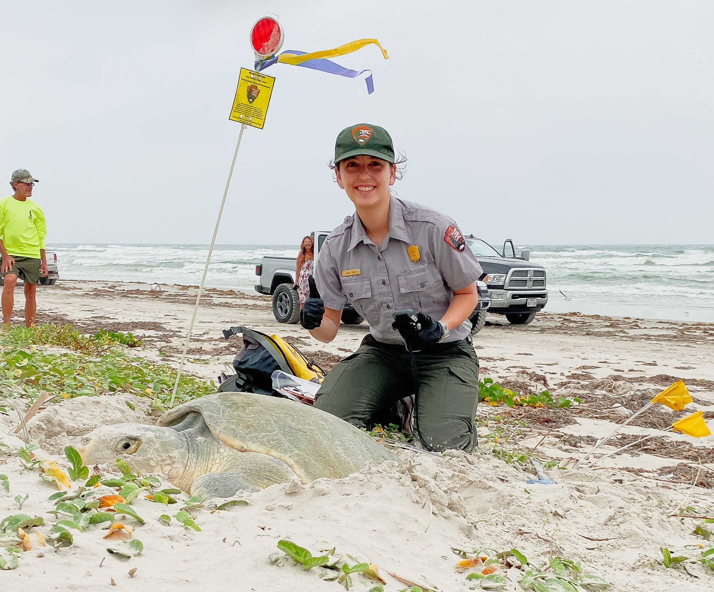 Female biotechnician posing with thumbs up behind a nesting sea turtle at a public beach