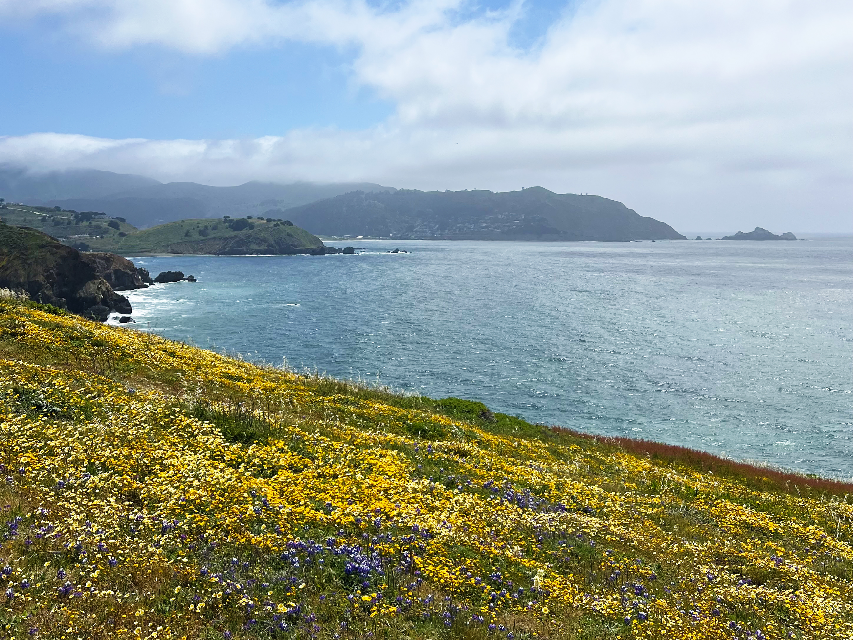 Hillside covered in blooming wildflowers, especially in shades of yellow and purple. The turquoise ocean sparkles beyond it. Other coastal promontories in the distance separate the ocean from the active, clear and cloudy sky above.
