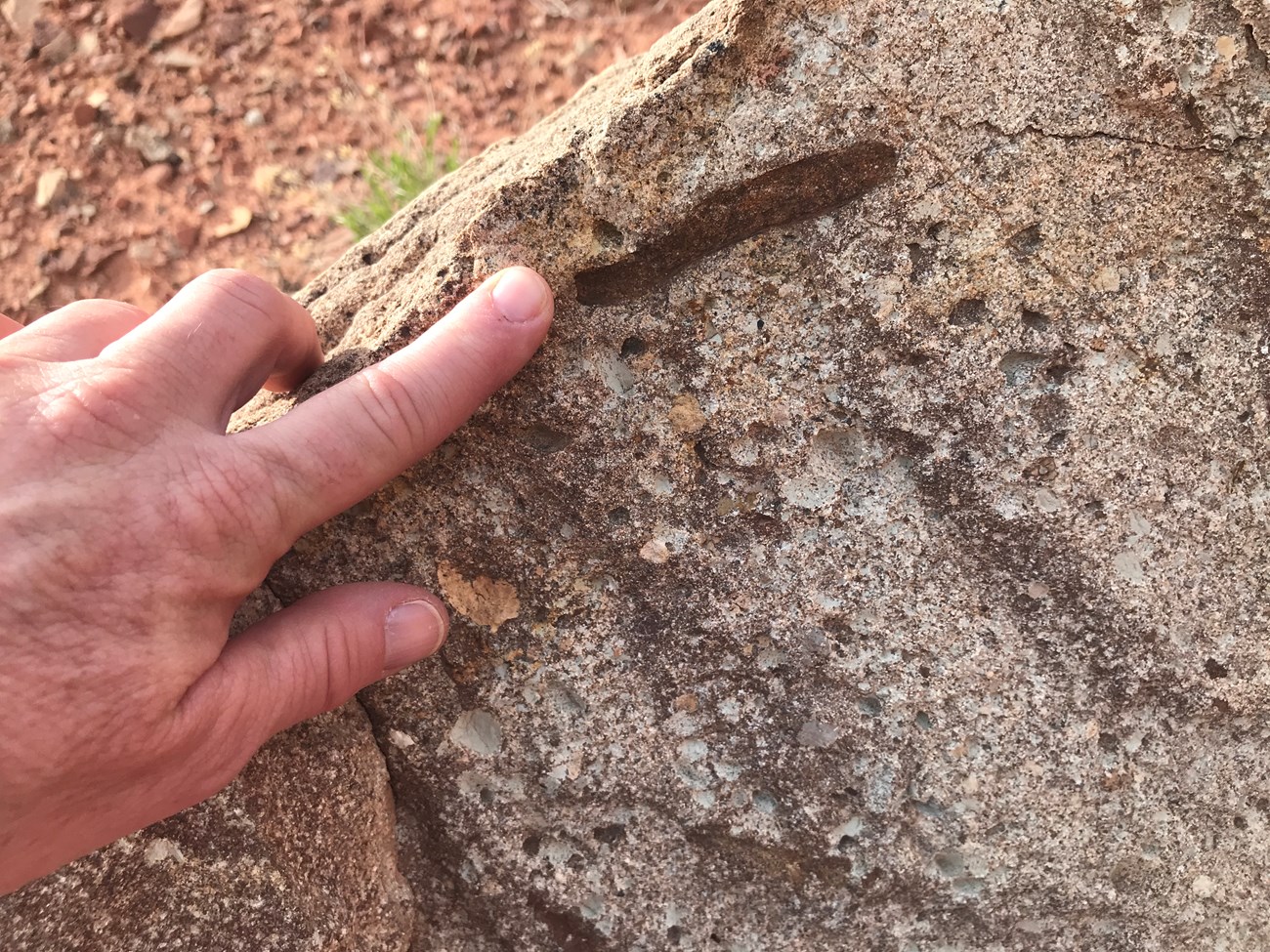 Photo of a fossil stick impression.