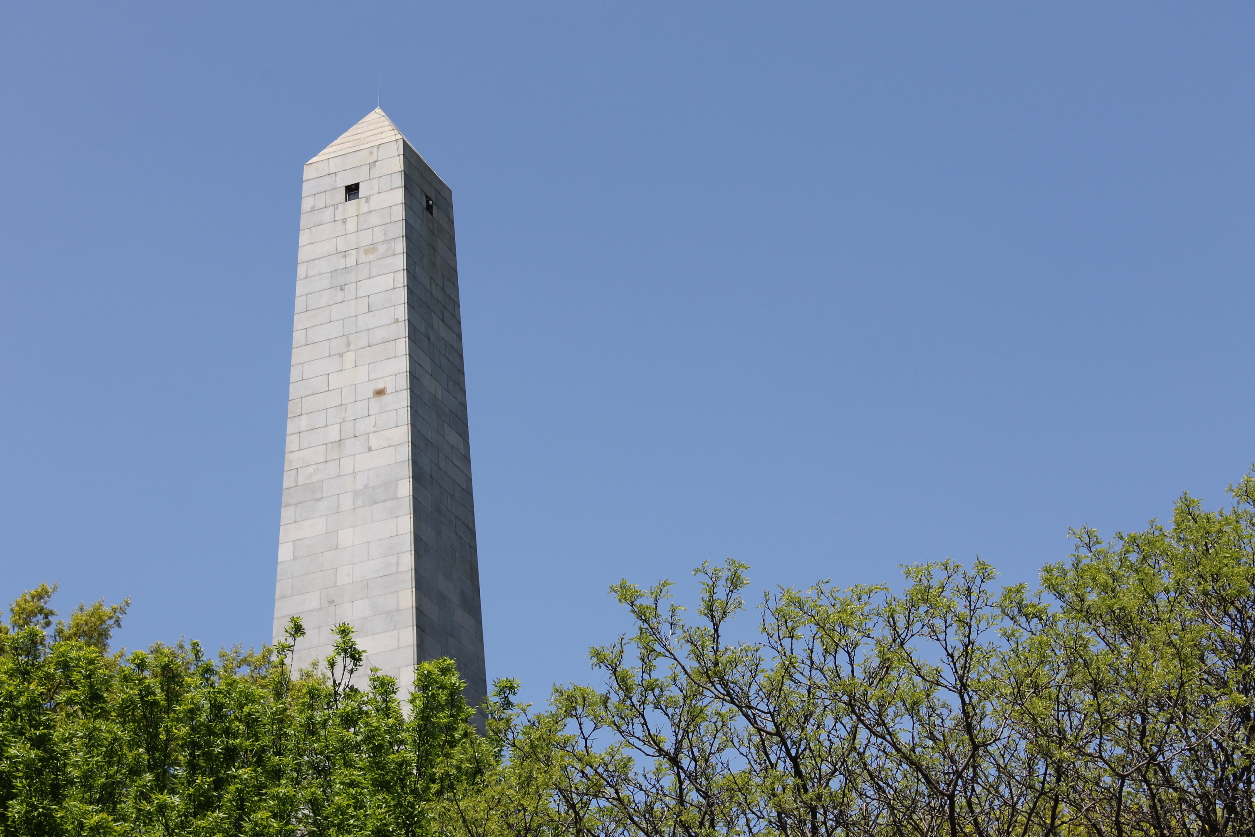 The top third of the Monument pocking out from behind trees.