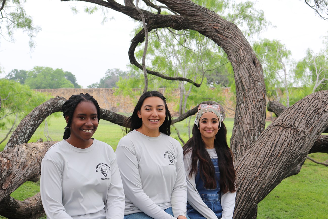 Three women sitting on a tree