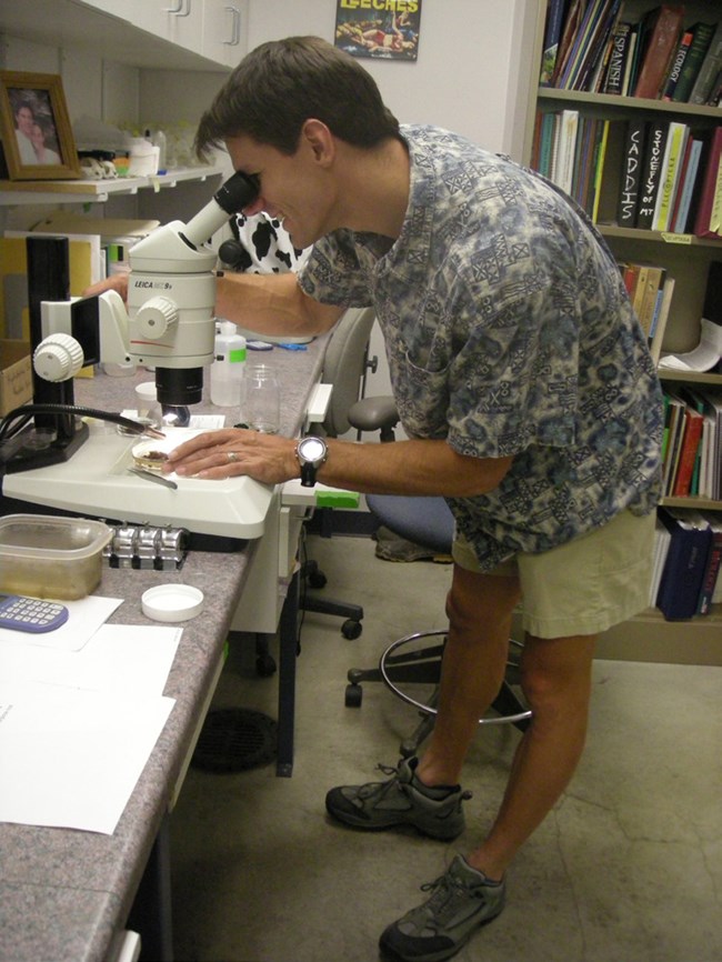 Man stands at a microscope in a lab.