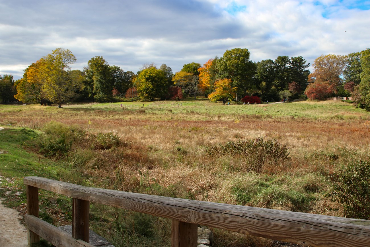 Golden field