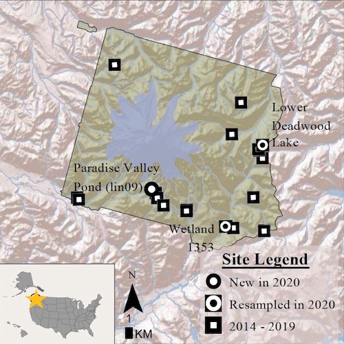 A map of Mount Rainier National Park with black circles marking locations new in 2020, white circles resampled locations and squares for locations sampled in 2014-2019.