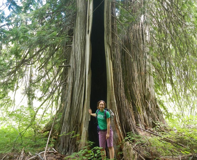 Elisa standing next to a tree