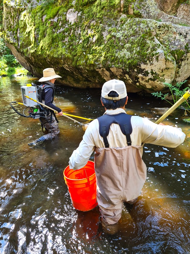 Two scientists carrying gear while wading in shallow water