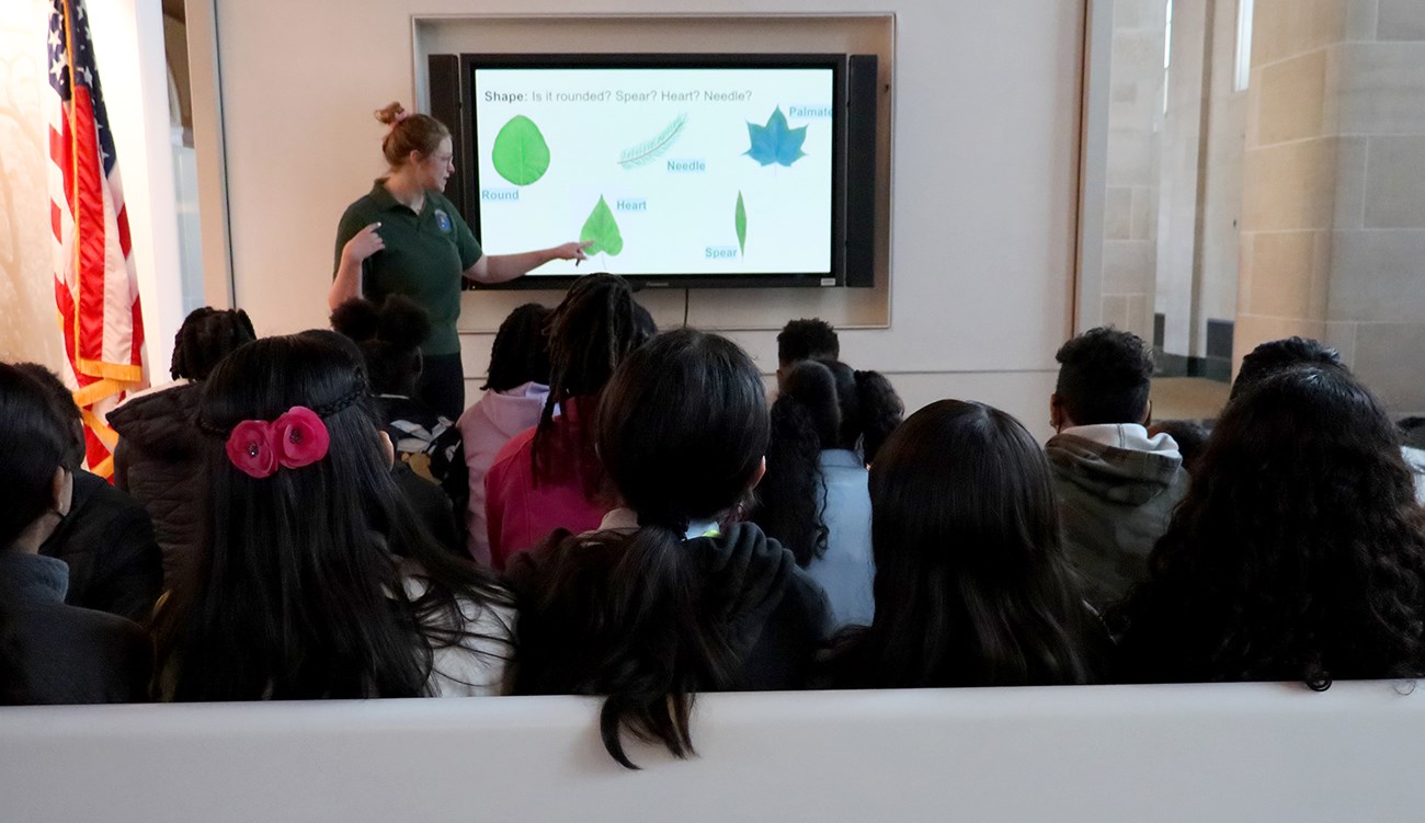 A woman standing next to an American flag shows tree leaf shapes on a screen to young students.