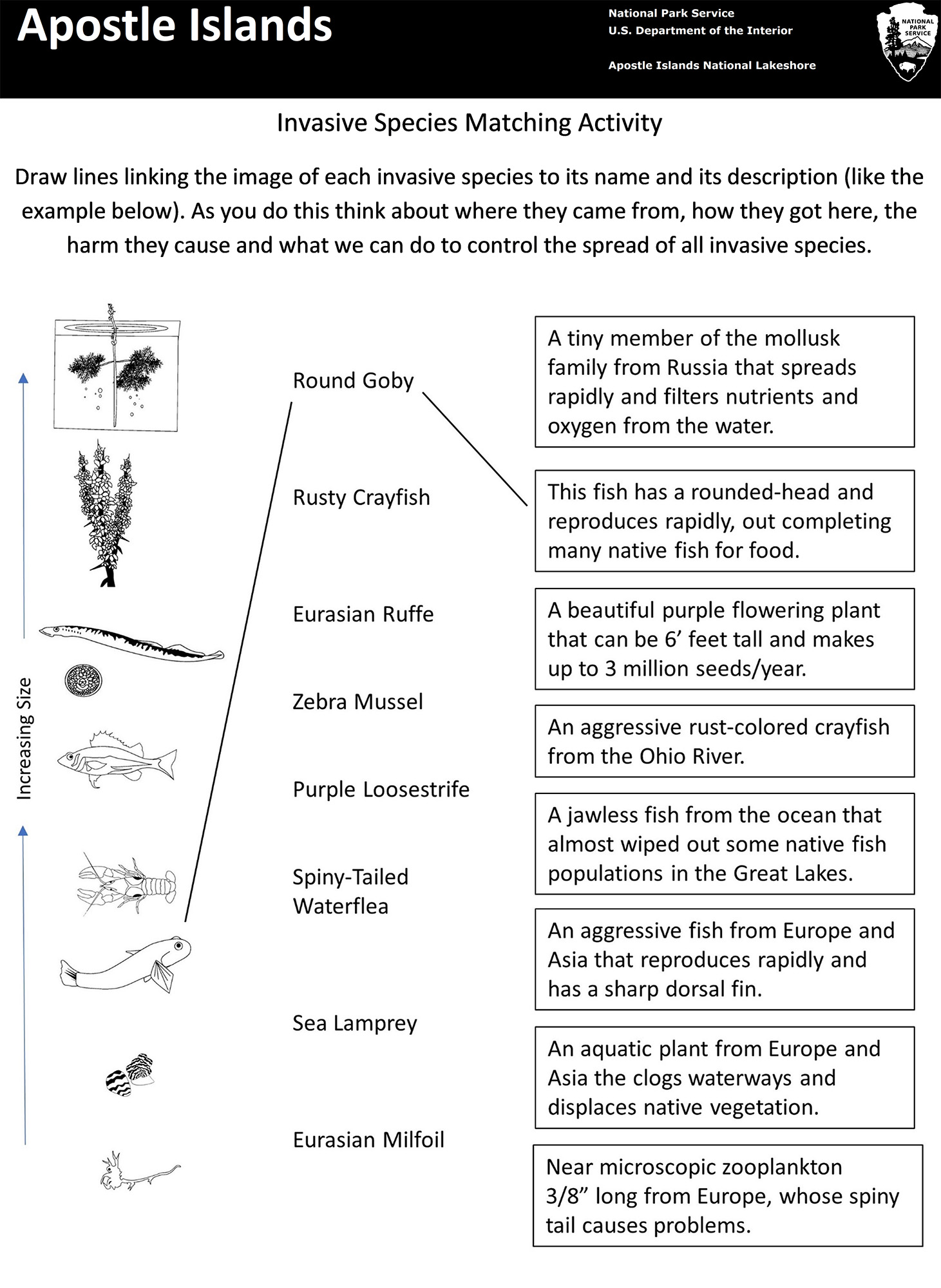 Photo of the matching activity sheet.