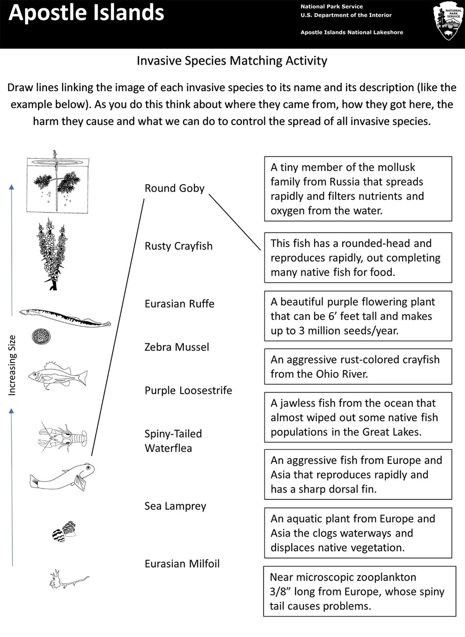 Photo of the matching activity sheet.