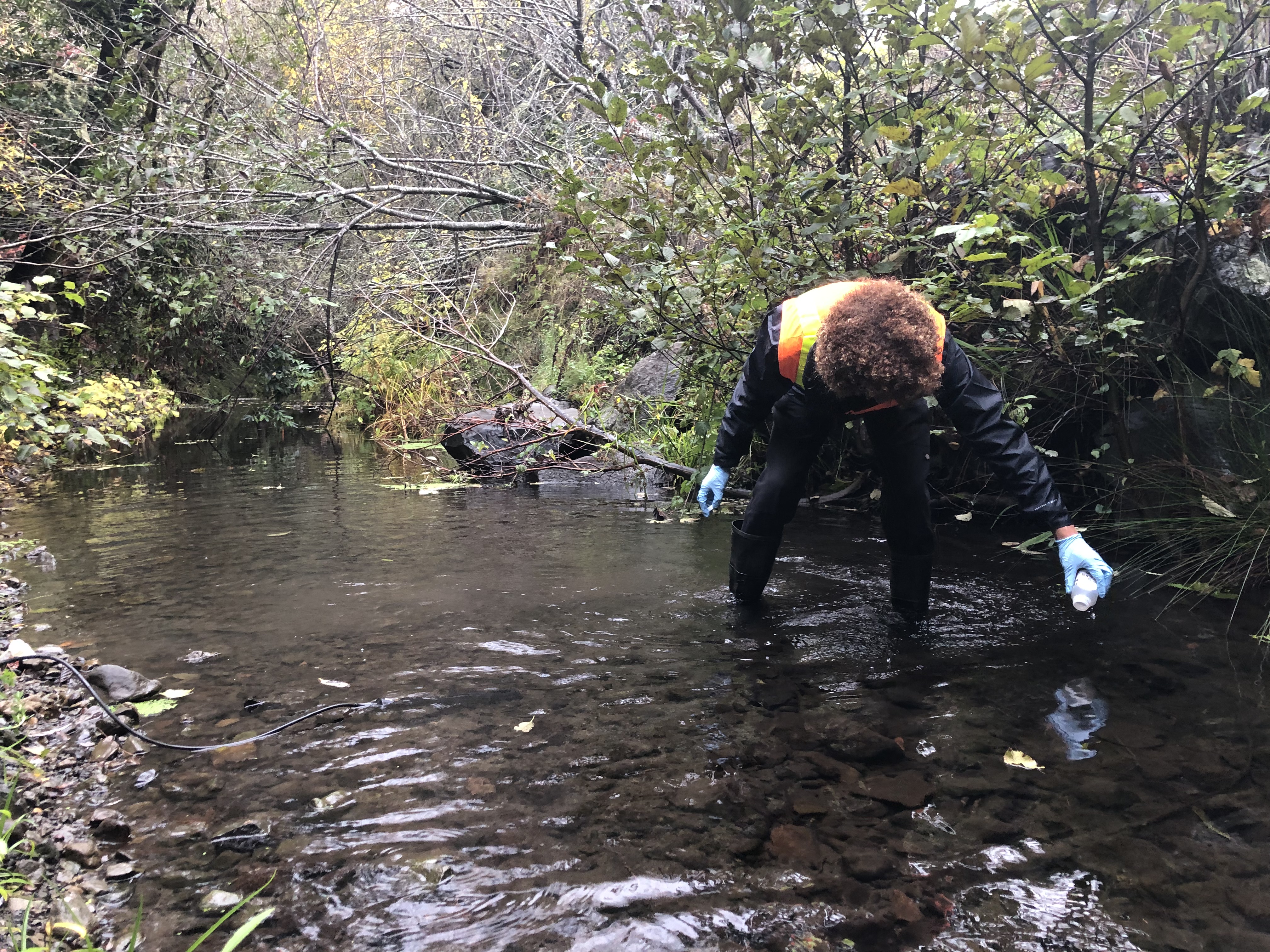 An individual collecting water samples