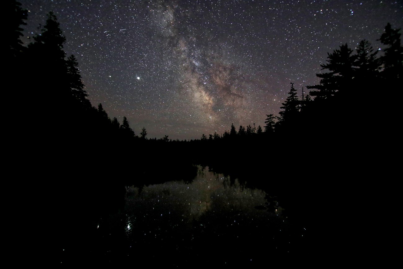 A starry night sky over a tree lined lake