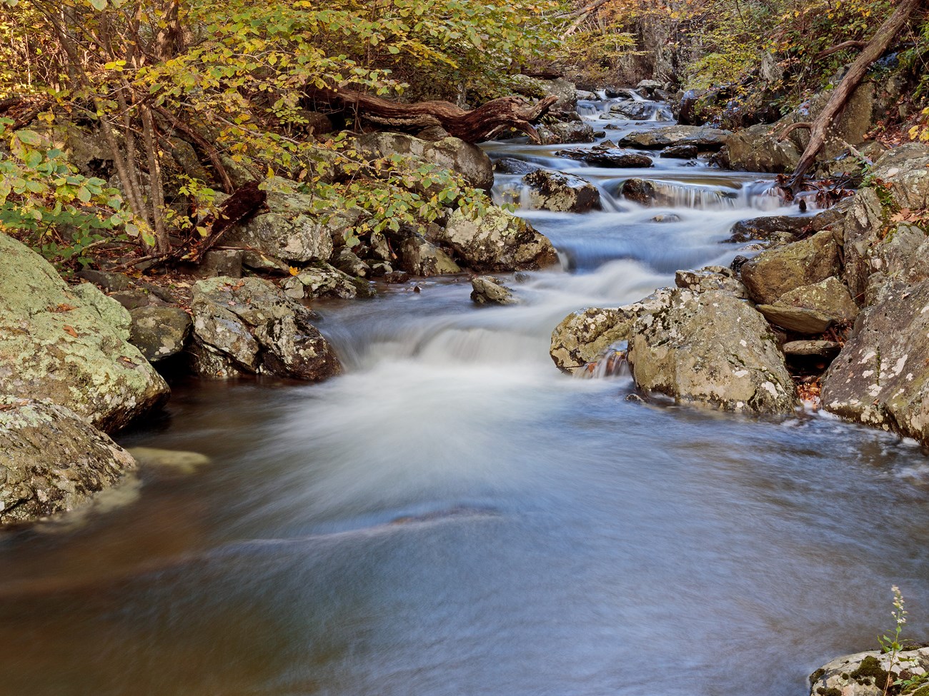 Long exposure smoothes the water on a scenic section of stream in the fall as some leaves are turning yellow.