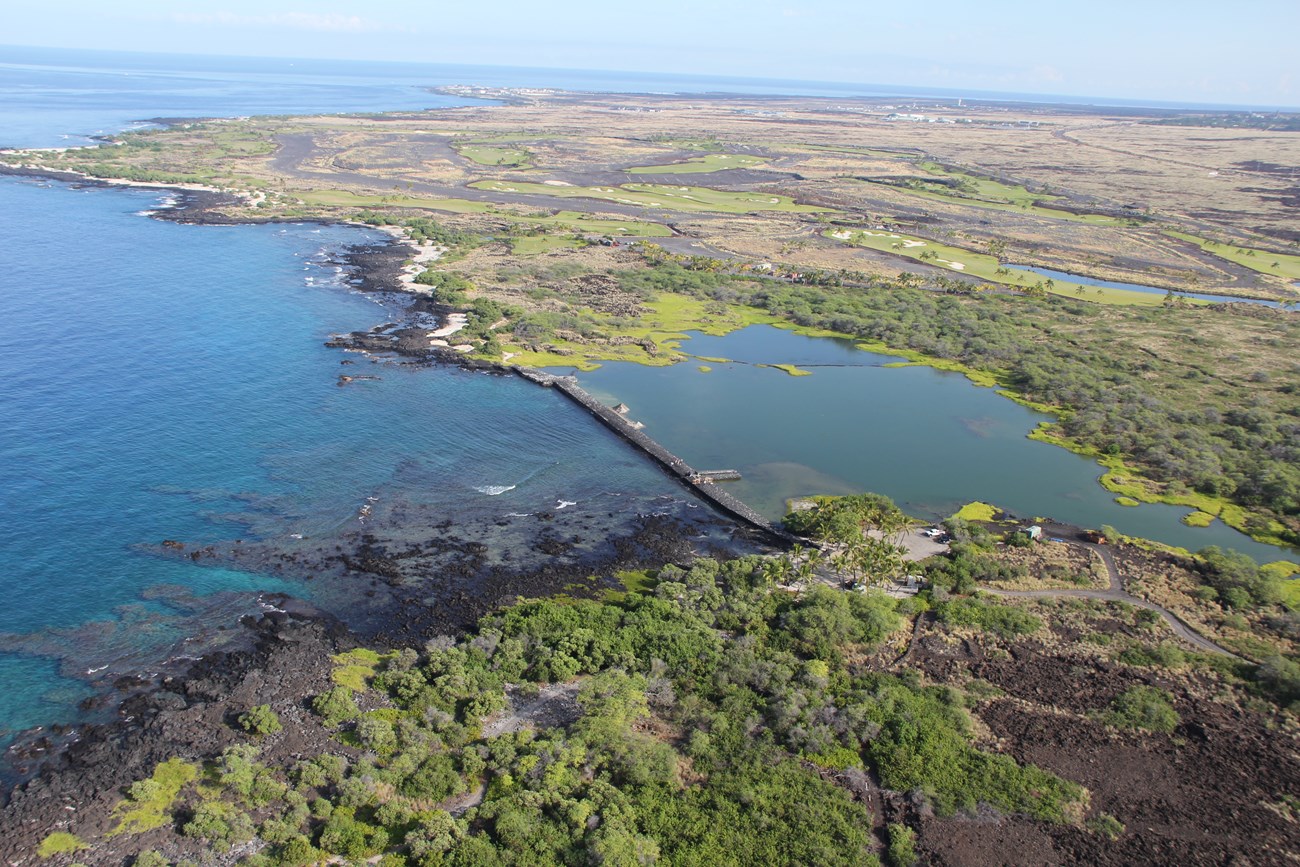 An aerial photo of a large coastal fishpond is separated from the ocean by a large rock wall. Bright green pickleweed lines the edges of the shallow pond.