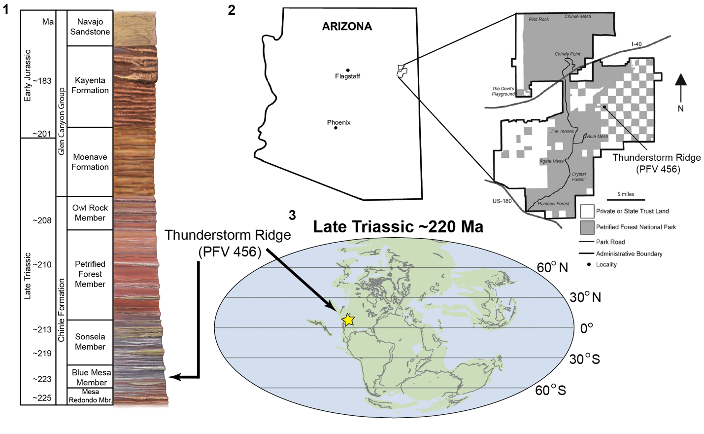 map globe and stratigraphic column