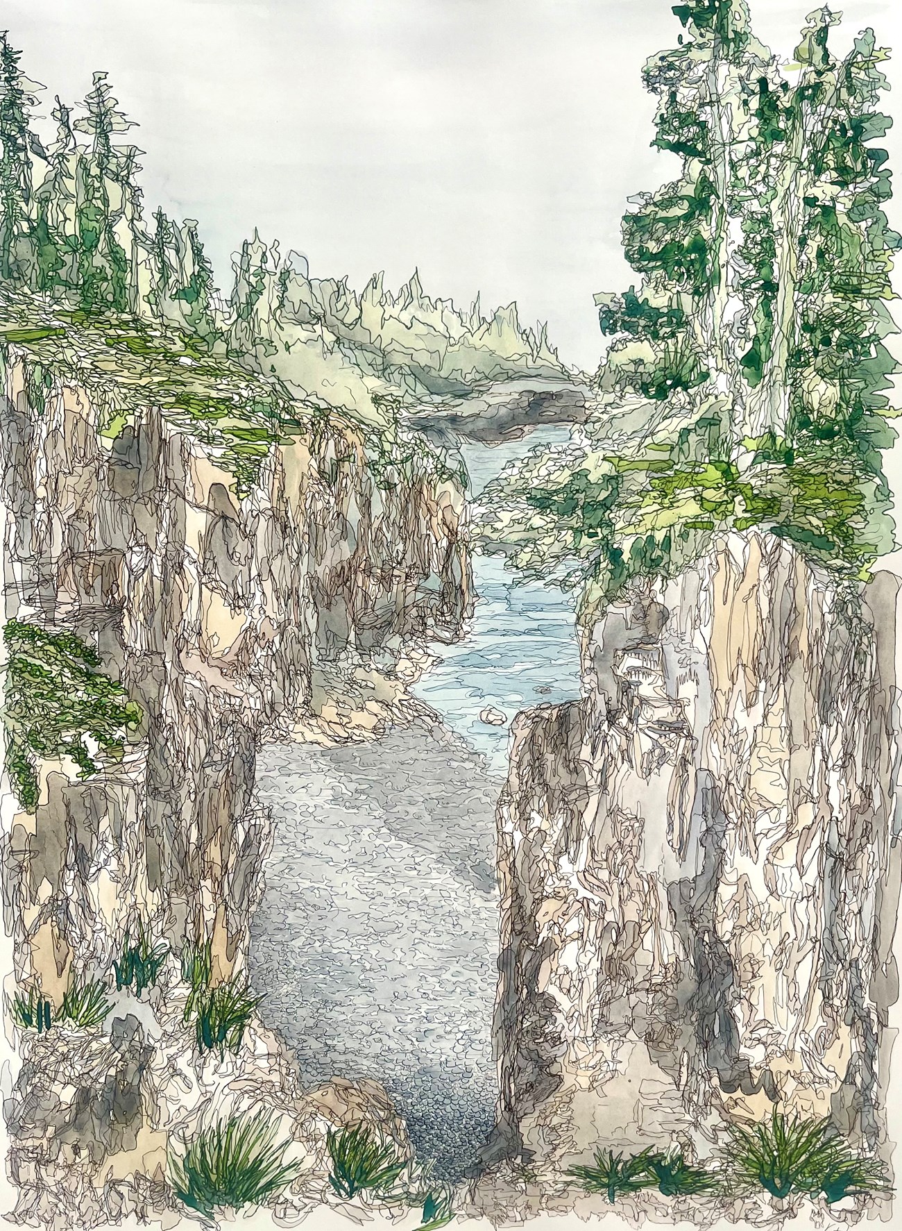 Intricate line drawing of rocky coastline with high cliffs, trees, and a gravel beach below