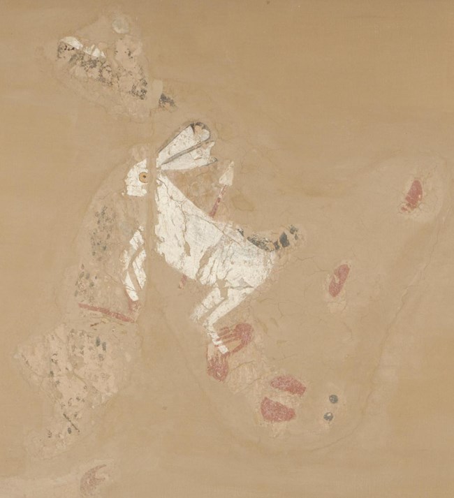 Kuaua Murals, Image E-19, Jackrabbit Courtesy of Coronado Historic Site.