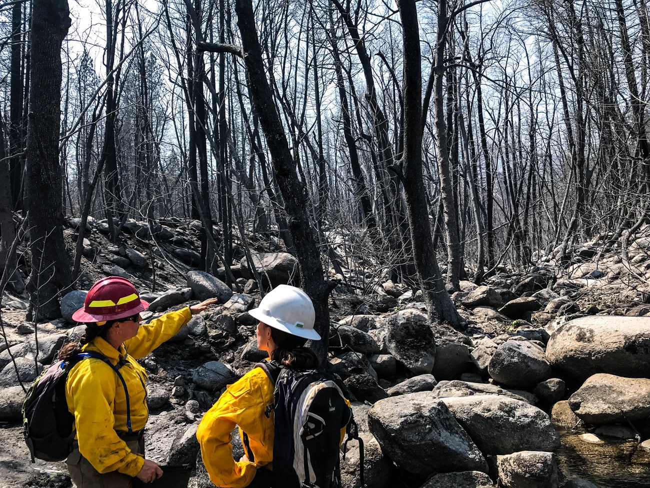 Two women in hard hats and bright yellow shirts discuss fire impacts in a rocky landscape covered in bare, scorched tree trunks of varying sizes.