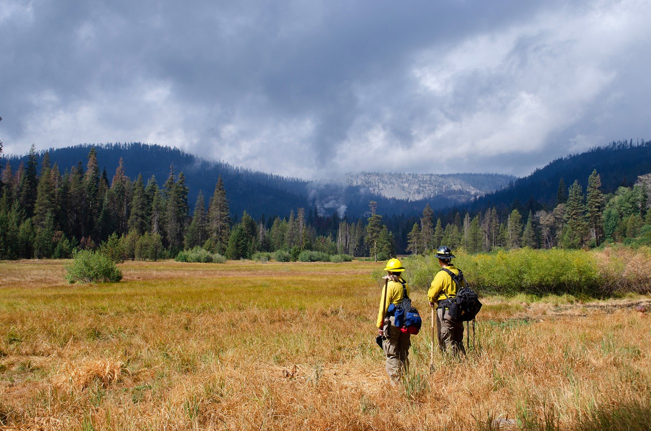 Two people in fire response uniforms look across a scenic field at smoke billowing from forested mountain foothills in the distance.