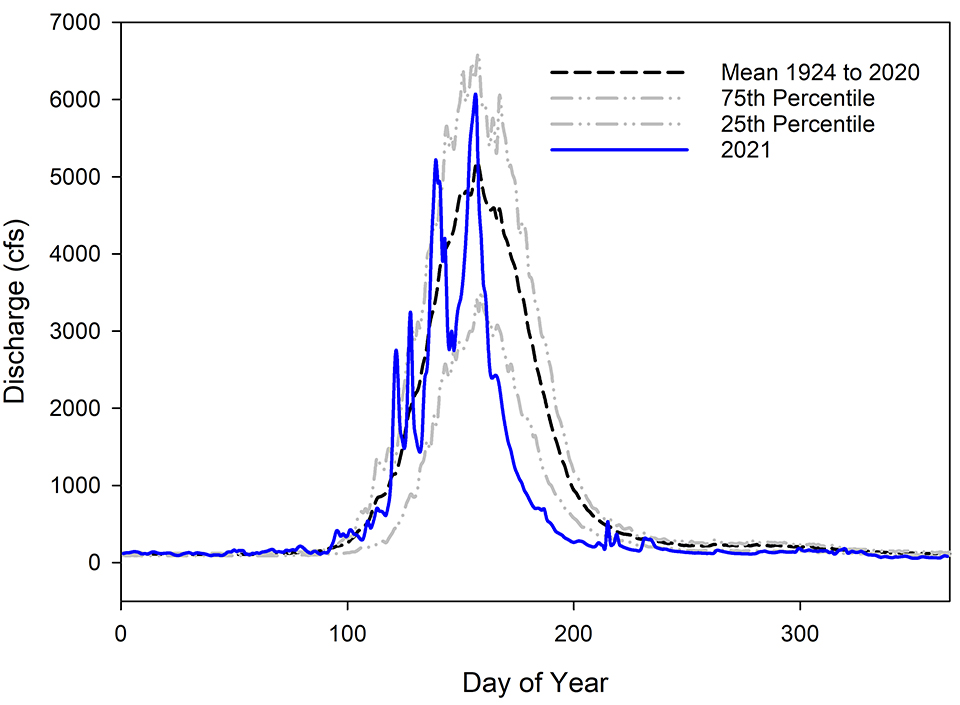A line graph of water flow for 2021 and historical water flow.
