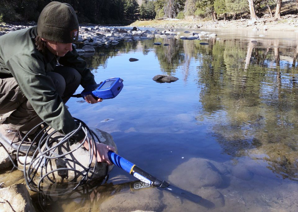 A scientist crouched down at a river's edge holding a probe in the water and an electronic display in their other hand.