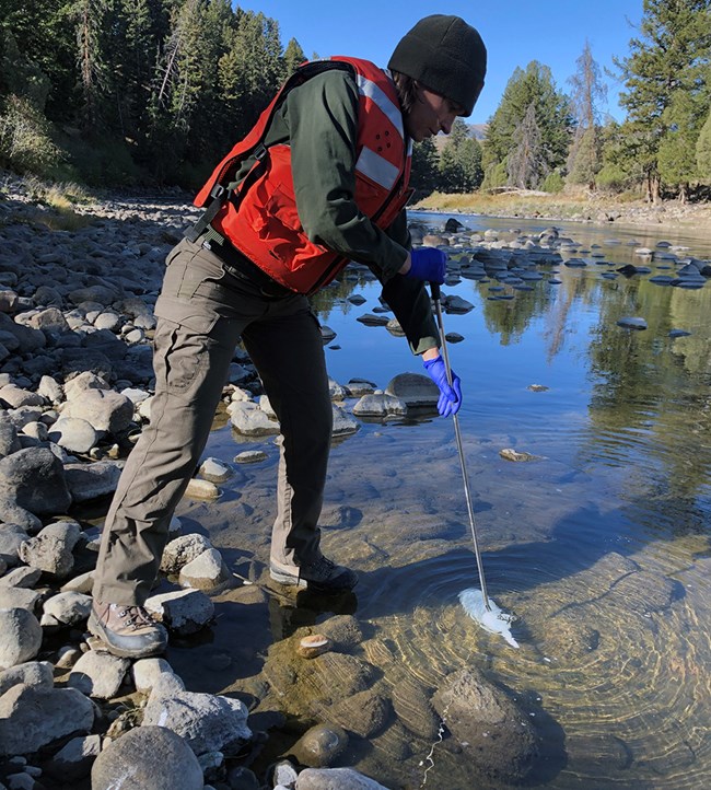 A scientist holding a rod attached to a bottle that is submerged under water in a river