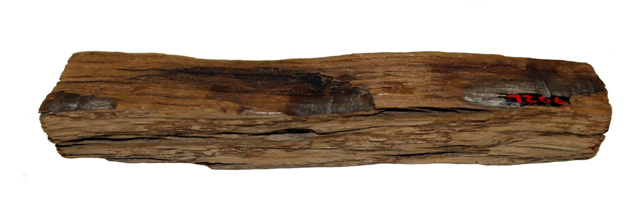 Fragment of darkened wood