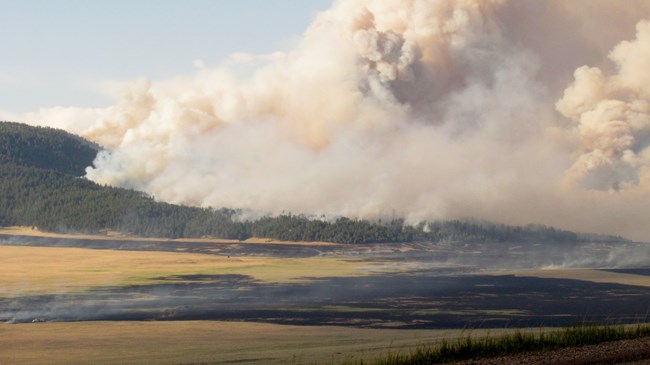 A large wildfire burns in the mountains across a vast grassland.