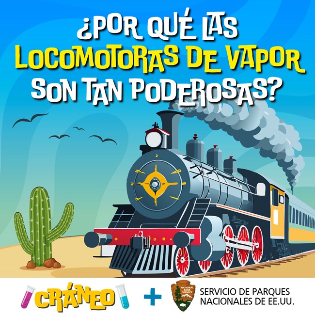 A cartoon of a locomotive with steam blowing out its stack next to a catcus, with birds flying in a blue sky. The words "¿Por qué las locomotoras de vapor son tan poderosas?" and "Cráneo + Servicio de Parques Nacionales de EE. UU. overlay the graphic.