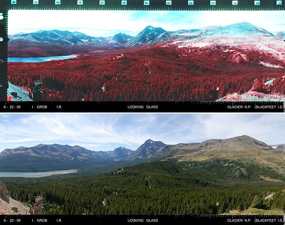 Two images of the same landscape with a forest and mountains in the background. One version is infrared and shows the trees in red, while the other version is panchromatic and shows more realistic colors.
