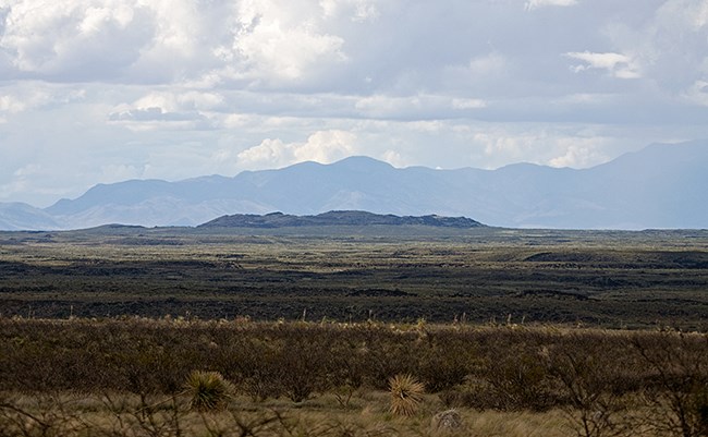 Western landscape with mountains in distance.