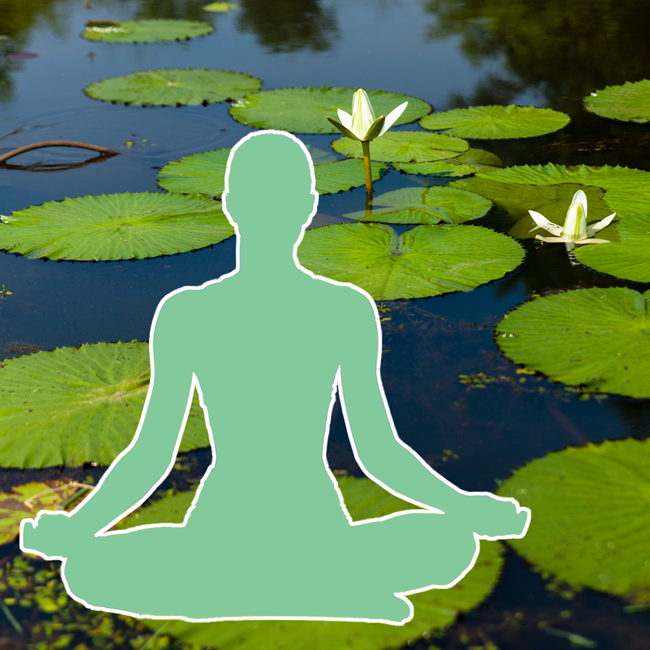 An outline of a person sitting cross legged with a photo of a lotus flower in the background.