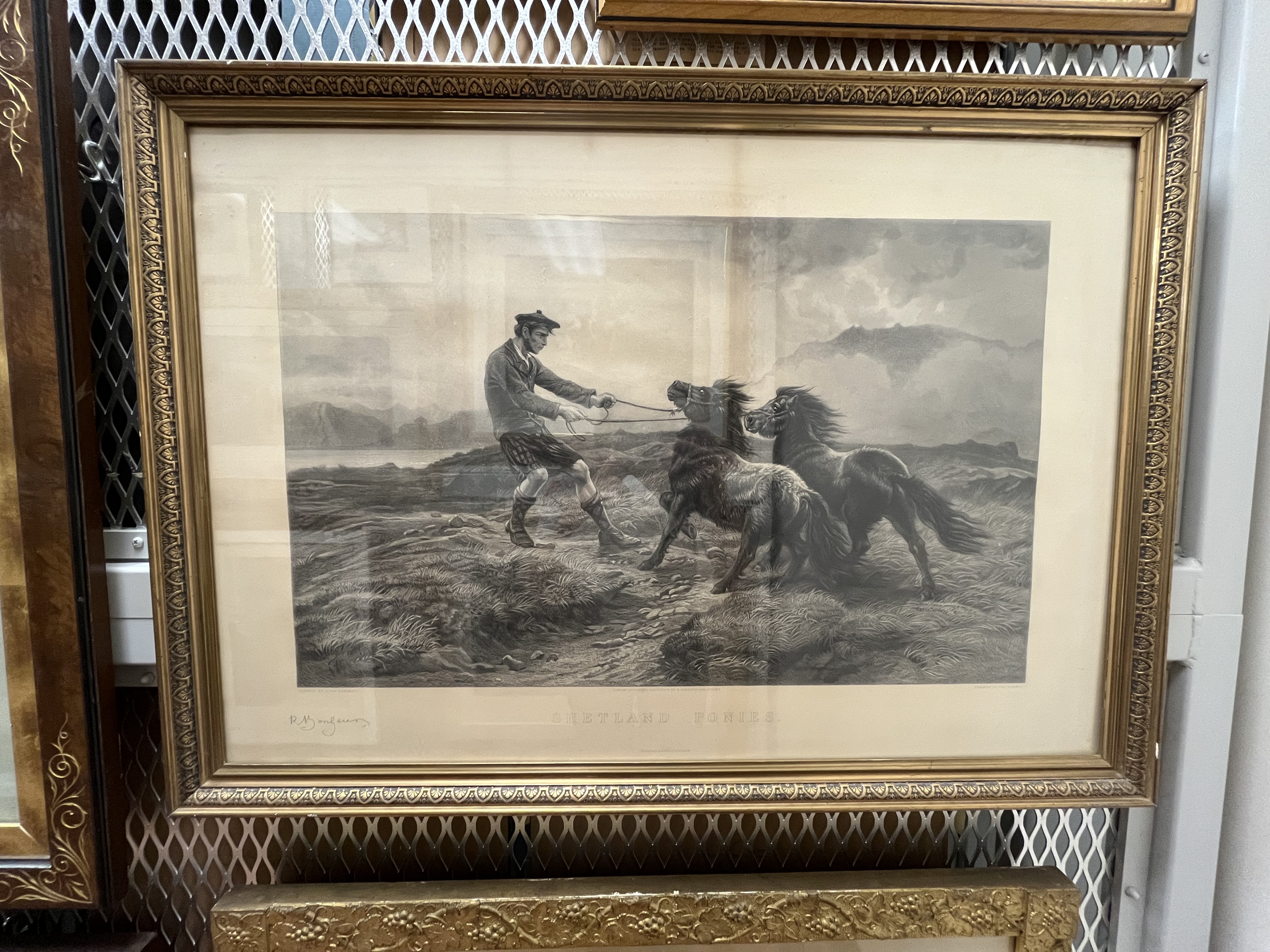 Photo of artwork in ornate frame hanging on collection wall of Black-and-white etching of Shetland ponies standing in a windswept landscape.