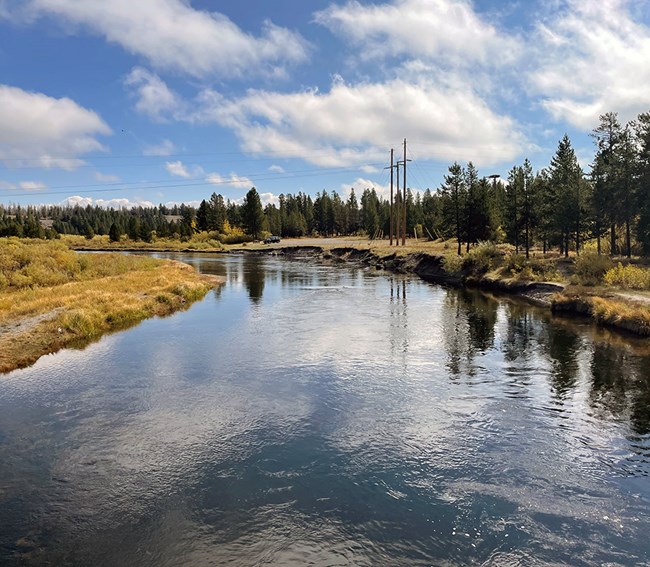 A blue flowing river meandering into the distance with shrubs and evergreens lining the shores.