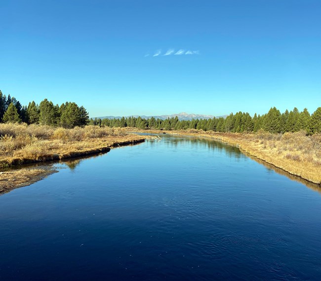 A blue river flowing into the distance lined by shrubs and evergreen trees with mountains in the distance.