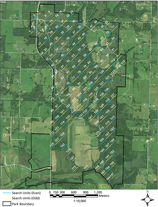 Map of 157 transect lines distributed at equal intervals across the park