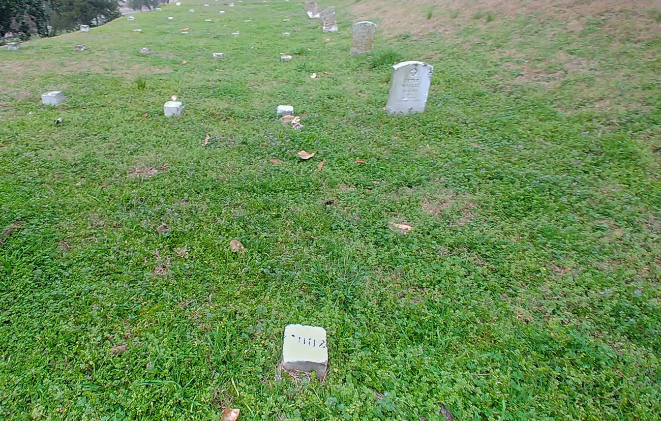 Grassy cemetery scene with scattered small headstones, creating a serene, reflective atmosphere. A gentle slope and distant trees enhance tranquility.