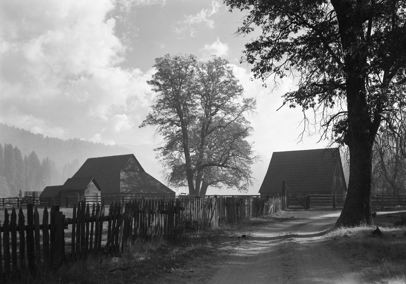 A ranch scene of a dirt road, fences and two barns.