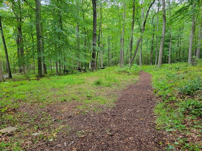 A photo of Owens Creek Picnic area after the National Public Lands Day event at Catoctin Mountain Park.