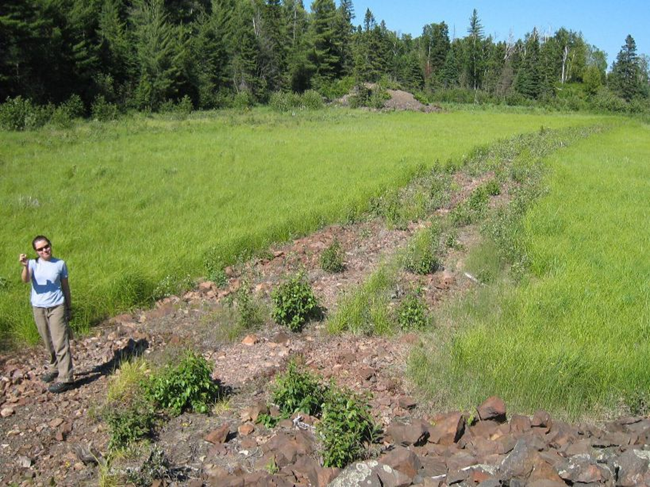A person poses on a dilapidated rocky road with bright green grass flanking it. A dense forest makes up the background.