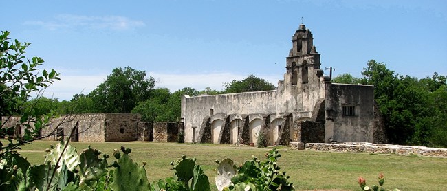 Cactus framing the picture with a church in the background with three bell towers