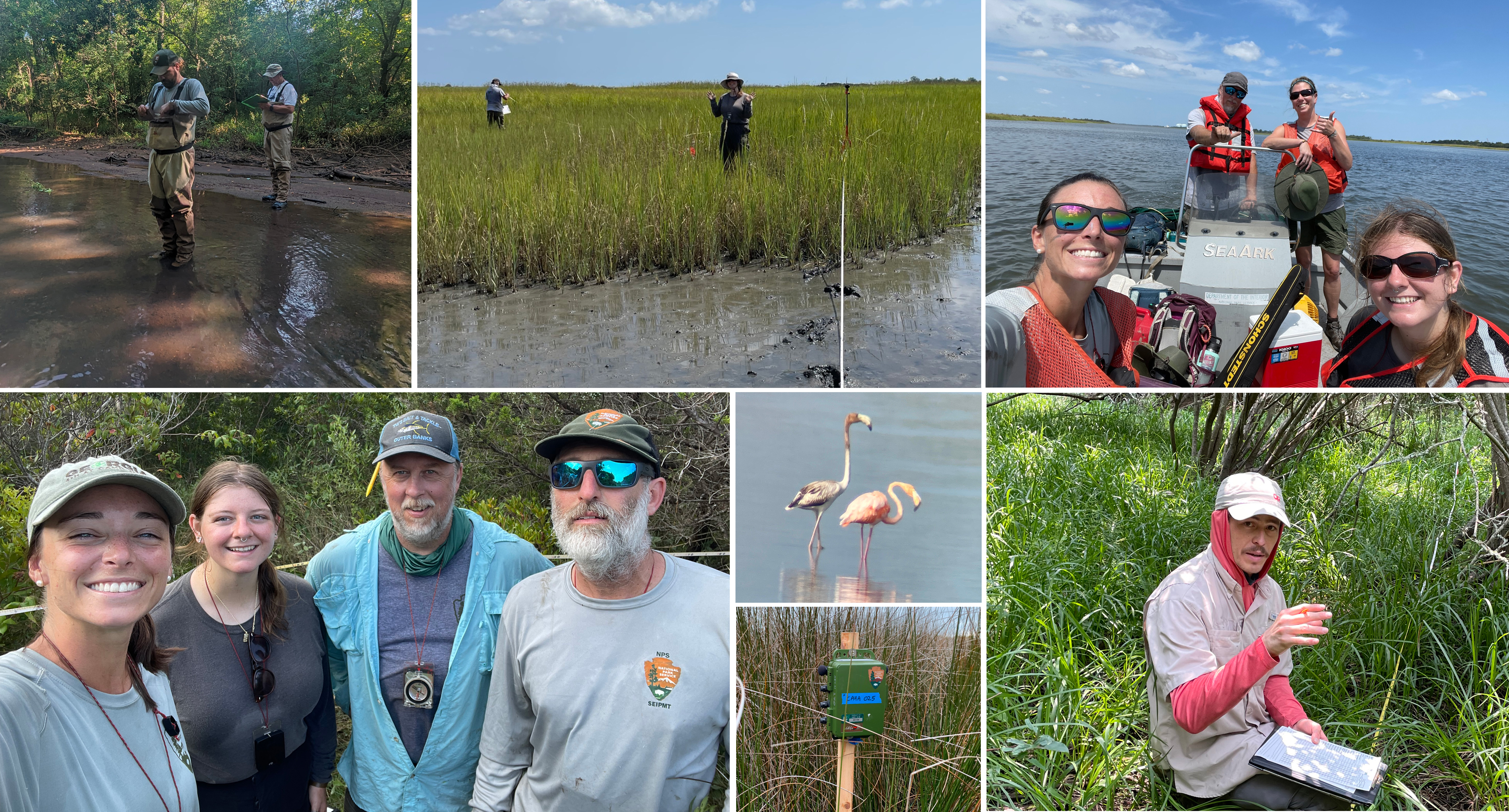 Different shots of people working in the field