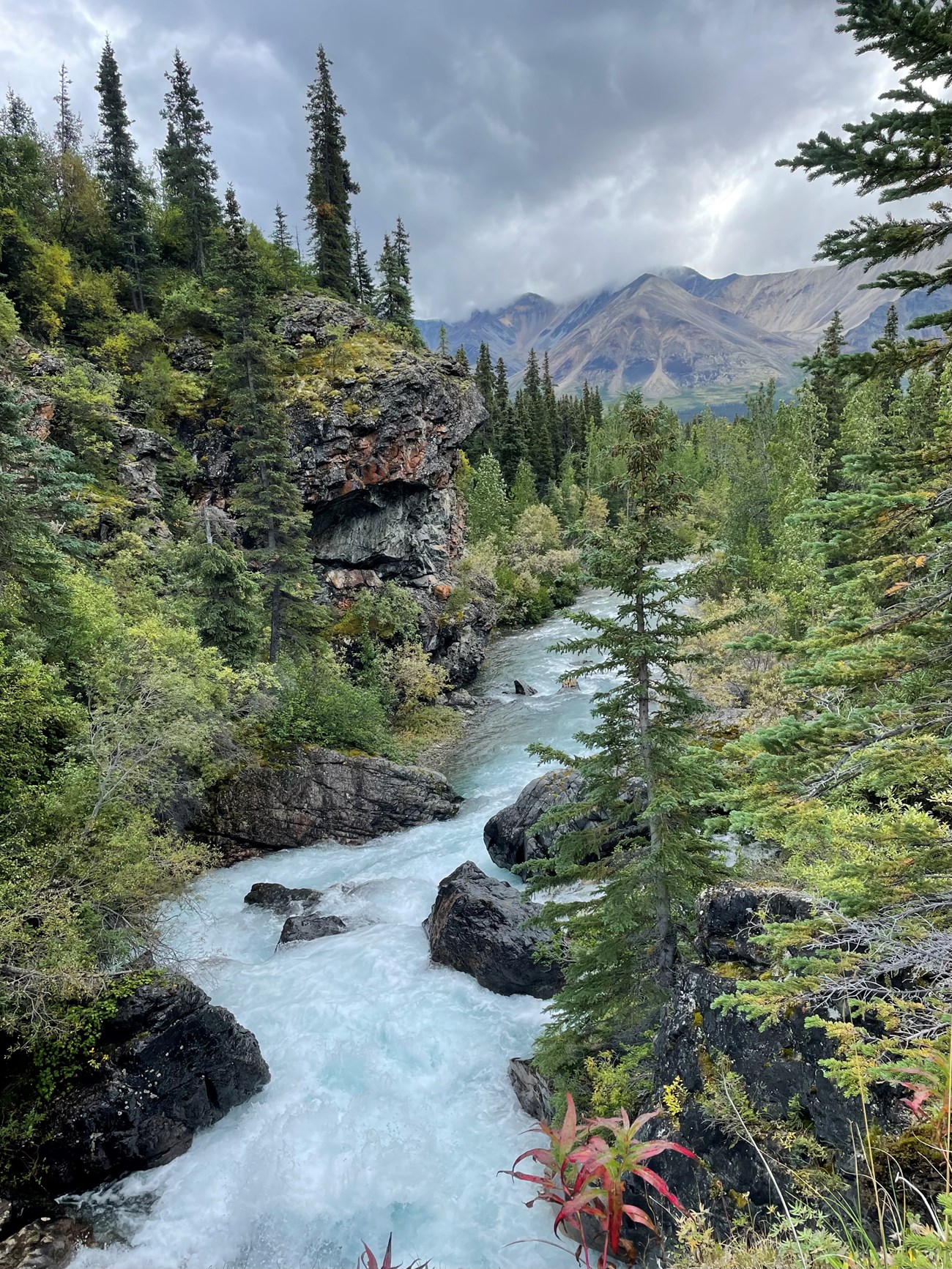 A roaring river winds through a rocky landscape. To the left are towering rock cliffs and green trees, and to the right are green trees. There is a mountain in the distance with overcast conditions.