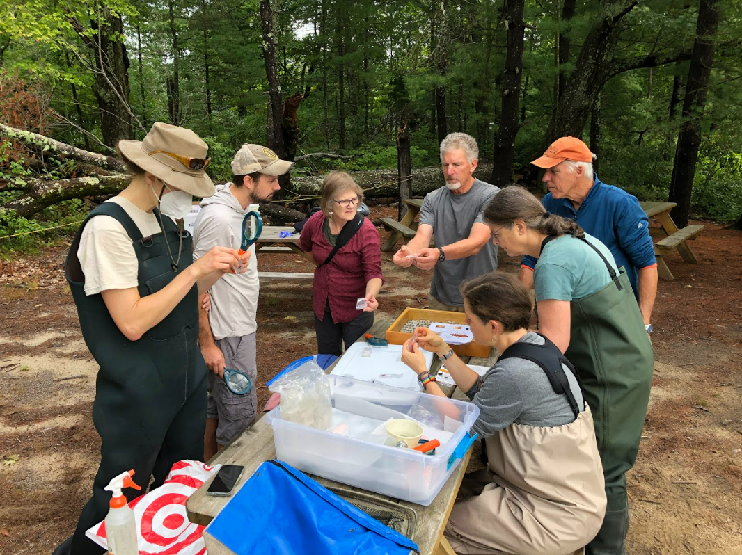 a group of people gather around a picnic table to identify dragonfly larvae